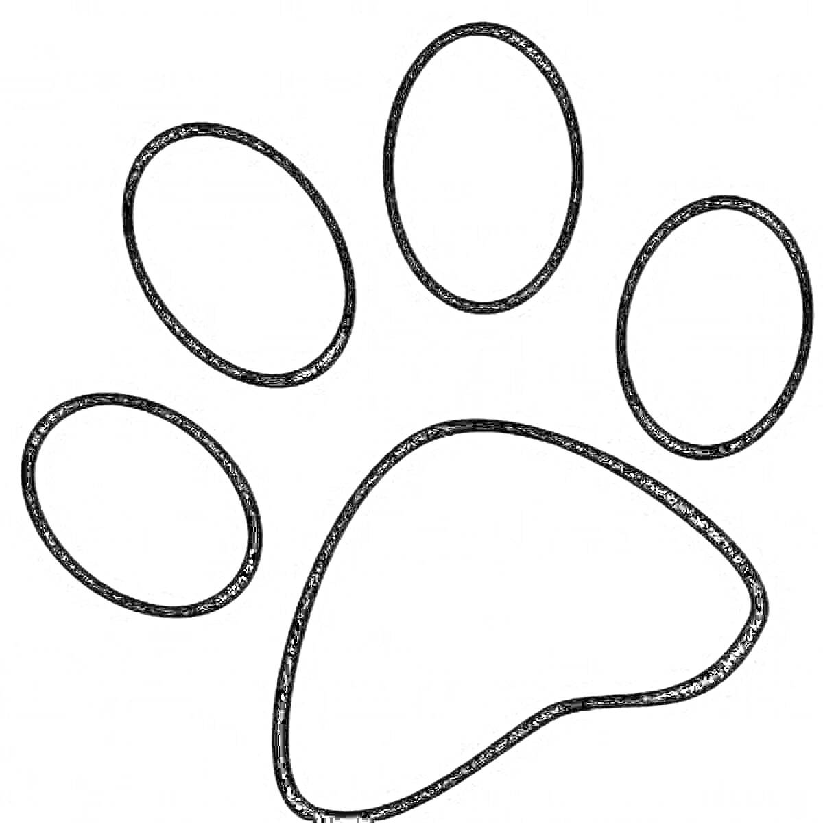 Раскраска Черно-белая раскраска кошачья лапка с пятью овальными подушечками