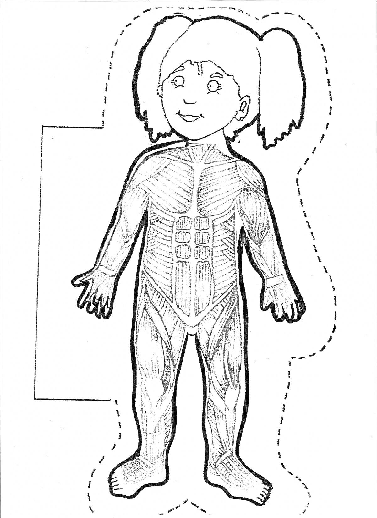 Раскраска Девочка с анатомией мышц на теле