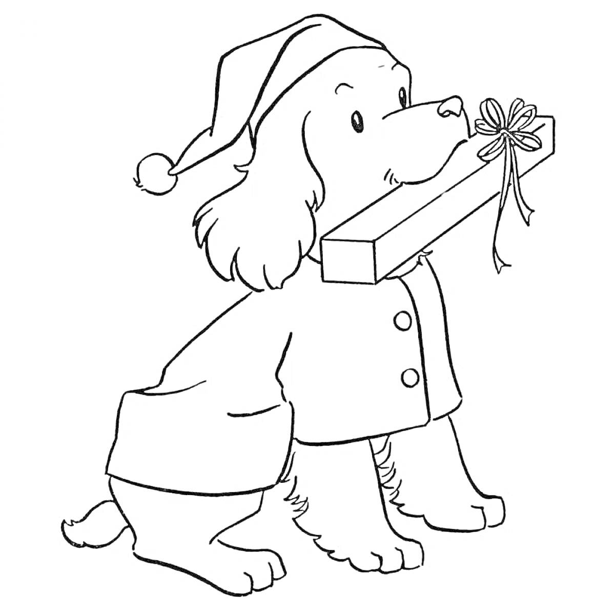 На раскраске изображено: Новогодняя шапка, Пиджак, Собака