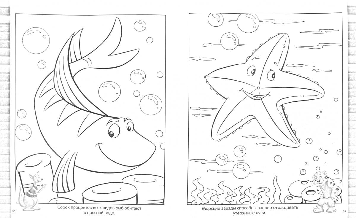 РаскраскаРазвивающая раскраска для детей: улыбающаяся рыба и морская звезда. Обитатели морей и океанов с пузырями и растениями.