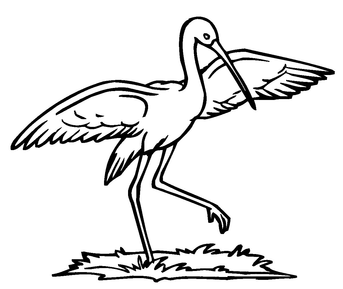 Птица с длинным клювом и распростертыми крыльями стоит на поляне