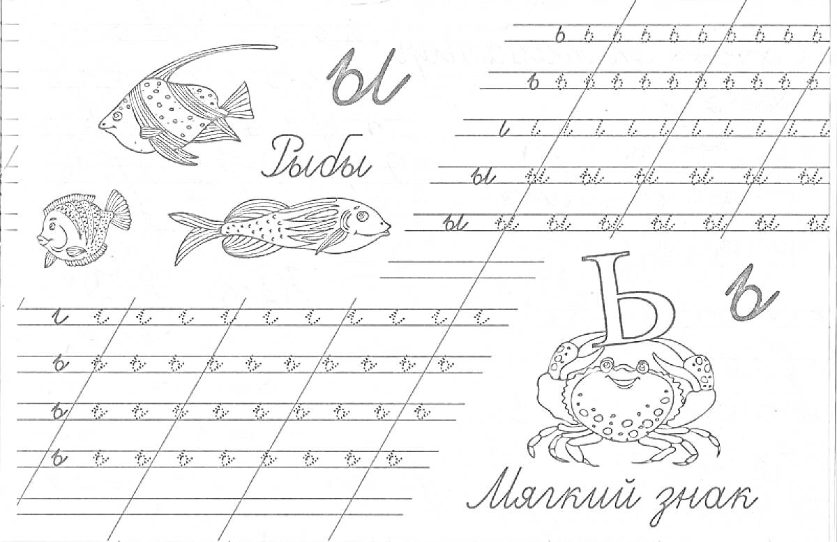 Раскраска Прописи с рыбами и мягким знаком, включающие изображения рыб и краба, а также упражнение по написанию букв 