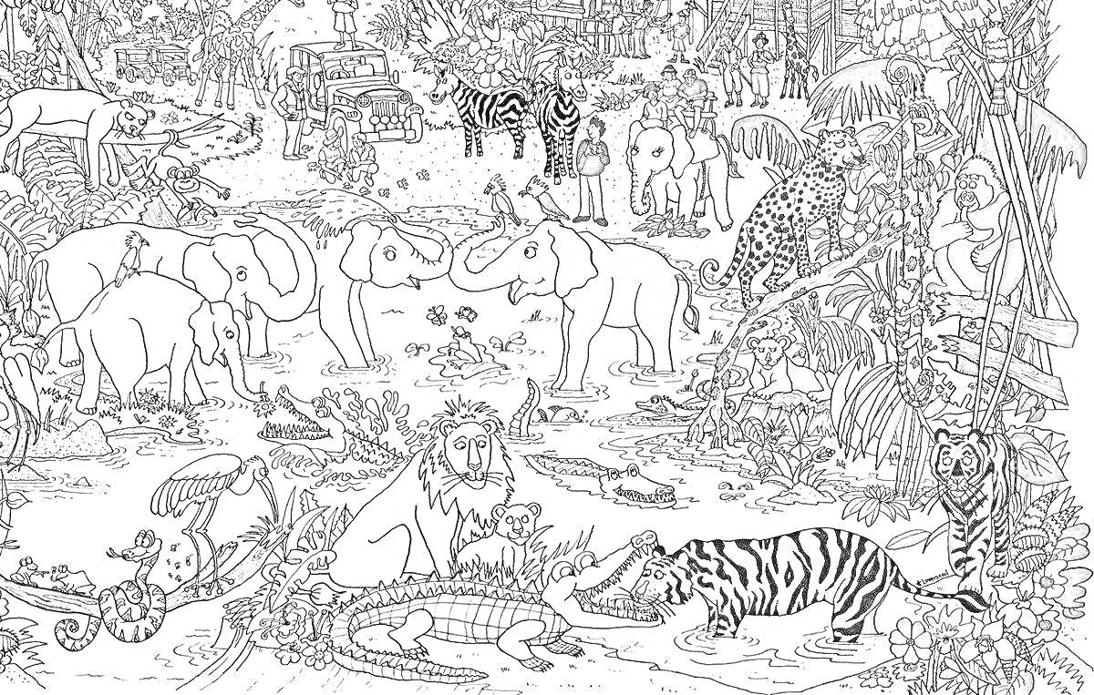 На раскраске изображено: Зоопарк, 6 лет, 7 лет, Жирафы, Обезьяны, Львы, Зебры, Деревья, Джунгли, Для детей, Животные, Слон, Тигр