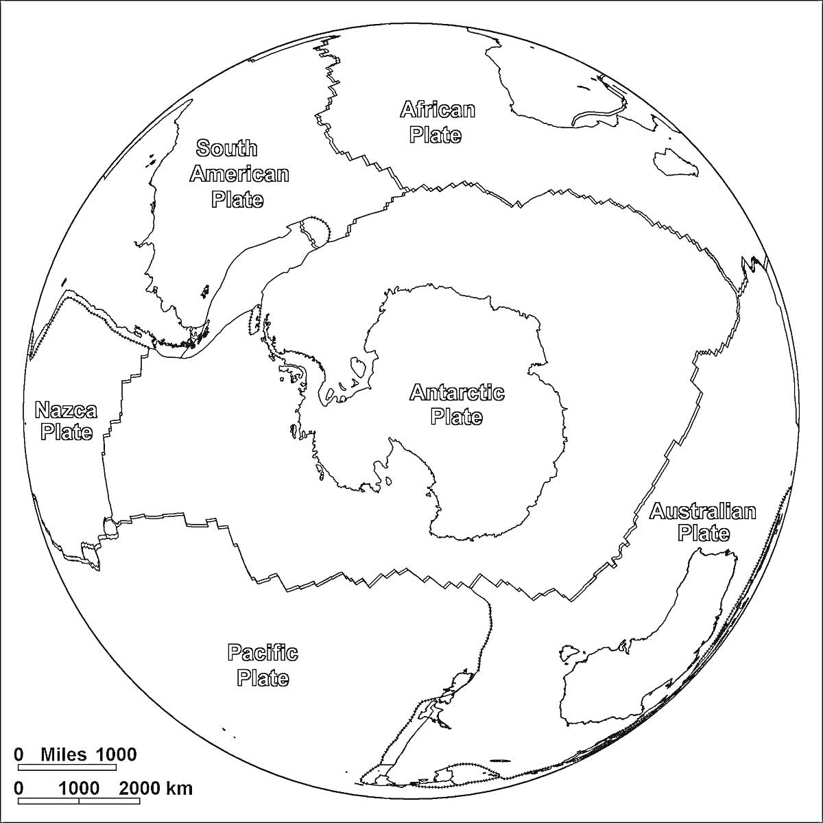 На раскраске изображено: Антарктида, Континенты, Карта, География, Образование