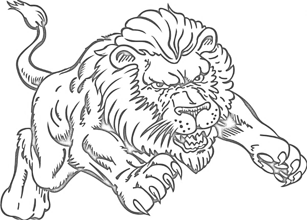 Раскраска Лев в прыжке с распущенной гривой и хвостом