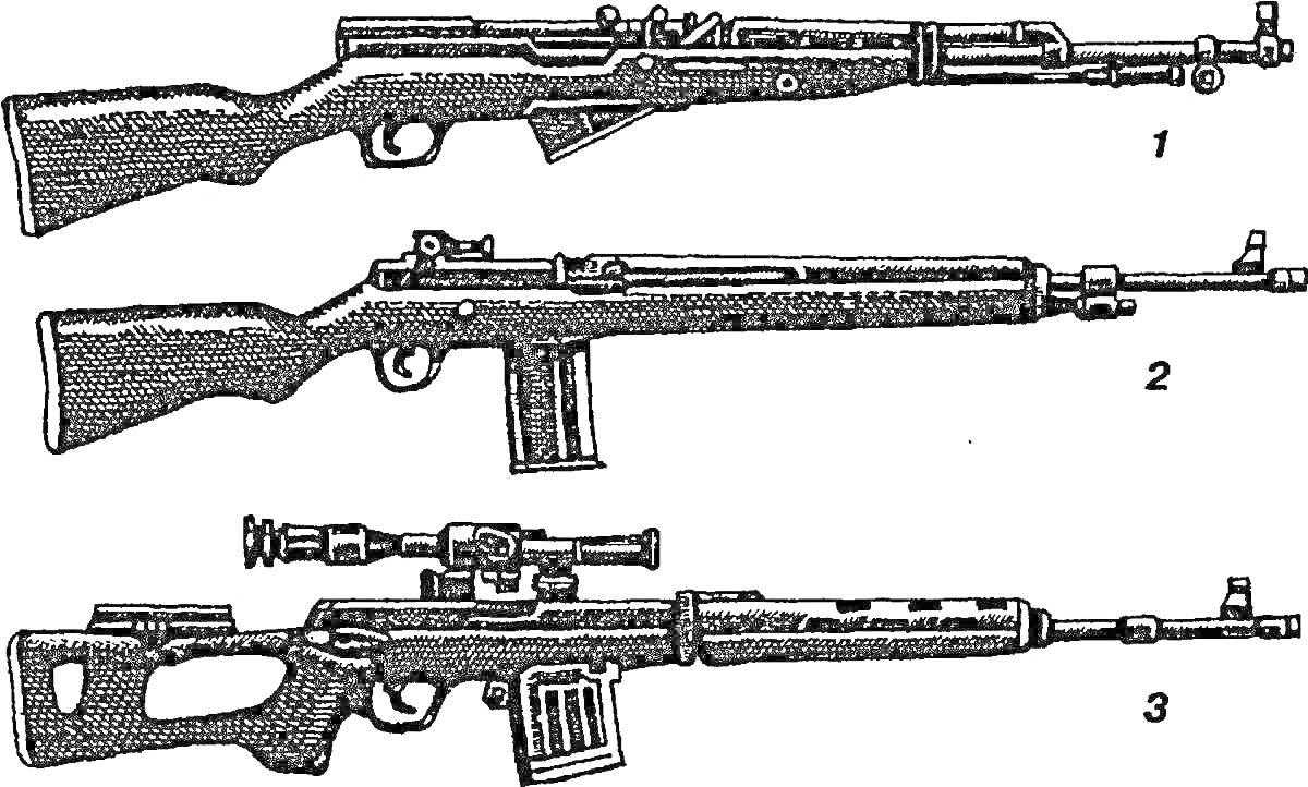 Раскраска Различные варианты винтовки Мосина с оптическим и стандартным прицелом