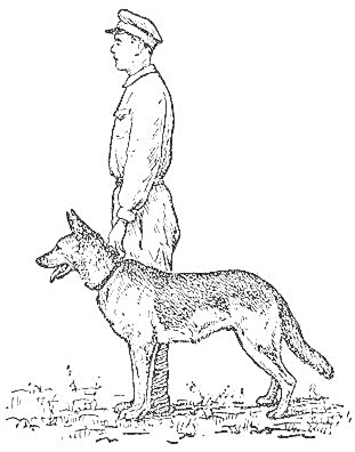 Раскраска Пограничник в униформе с собакой на поводке.