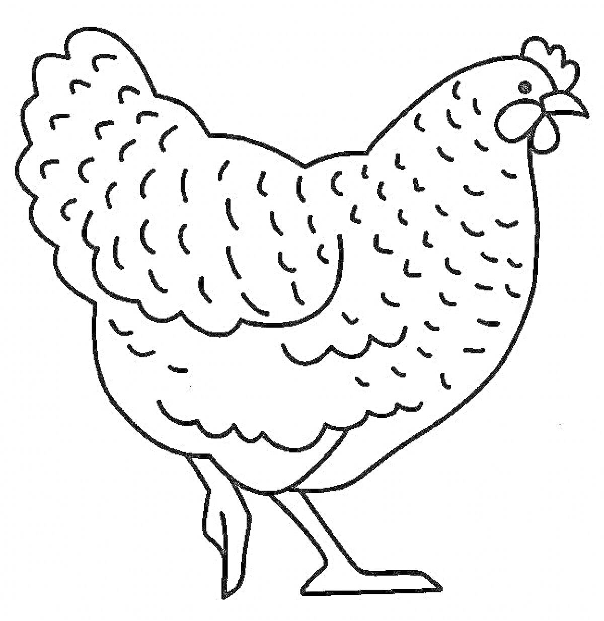 Раскраска Курочка с гребешком и перьями