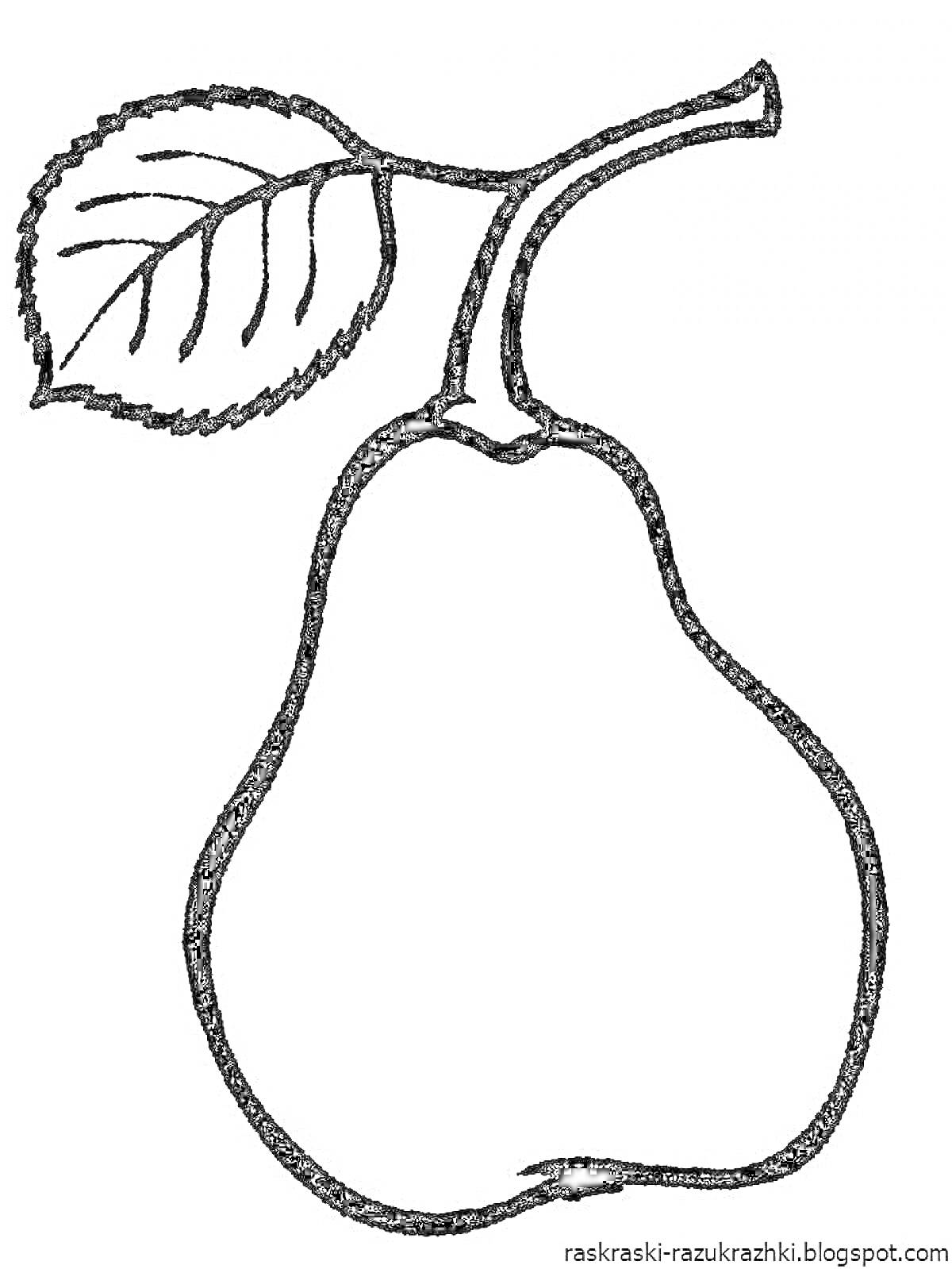 Раскраска Груша с листиком