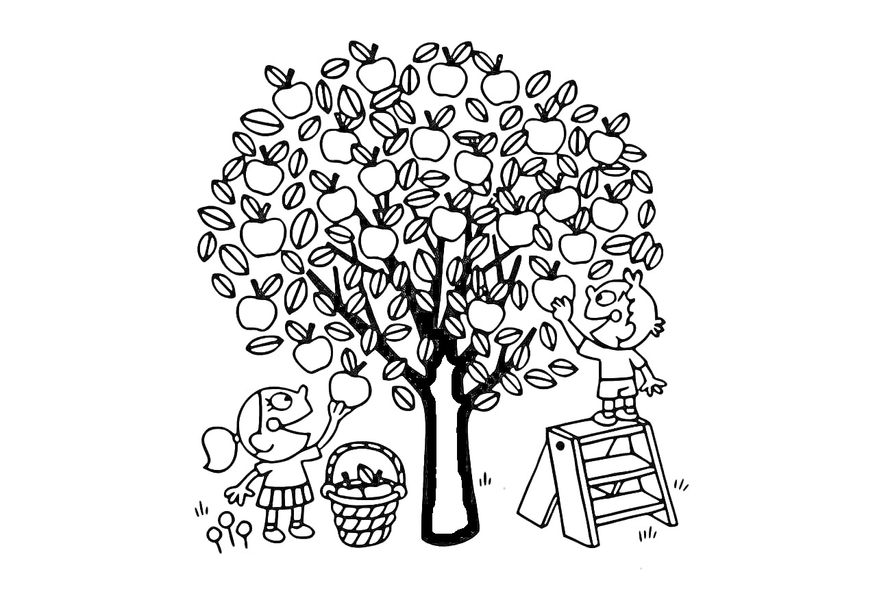 На раскраске изображено: Яблоня, Лестница, Корзина, Ножницы, Сбор урожая, Природа, Яблоко, Деревья