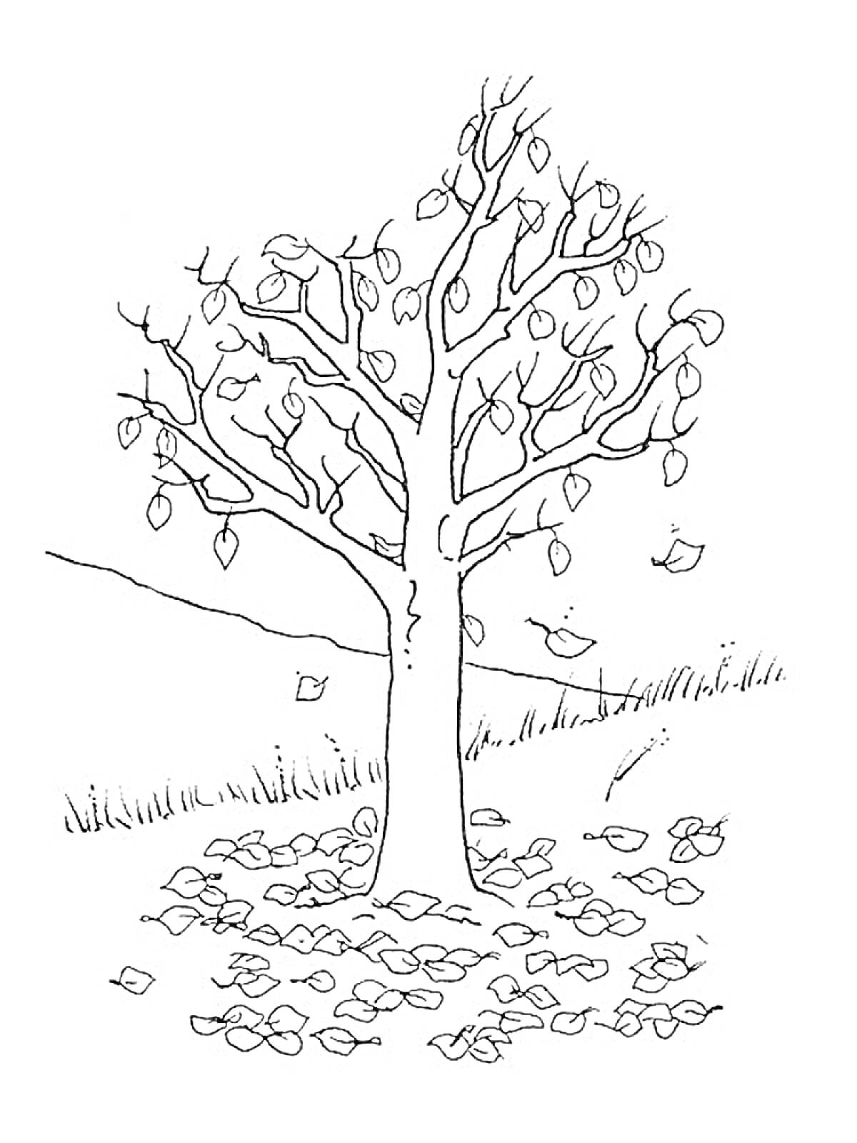 Раскраска Дерево с опадающими осенними листьями на фоне травы