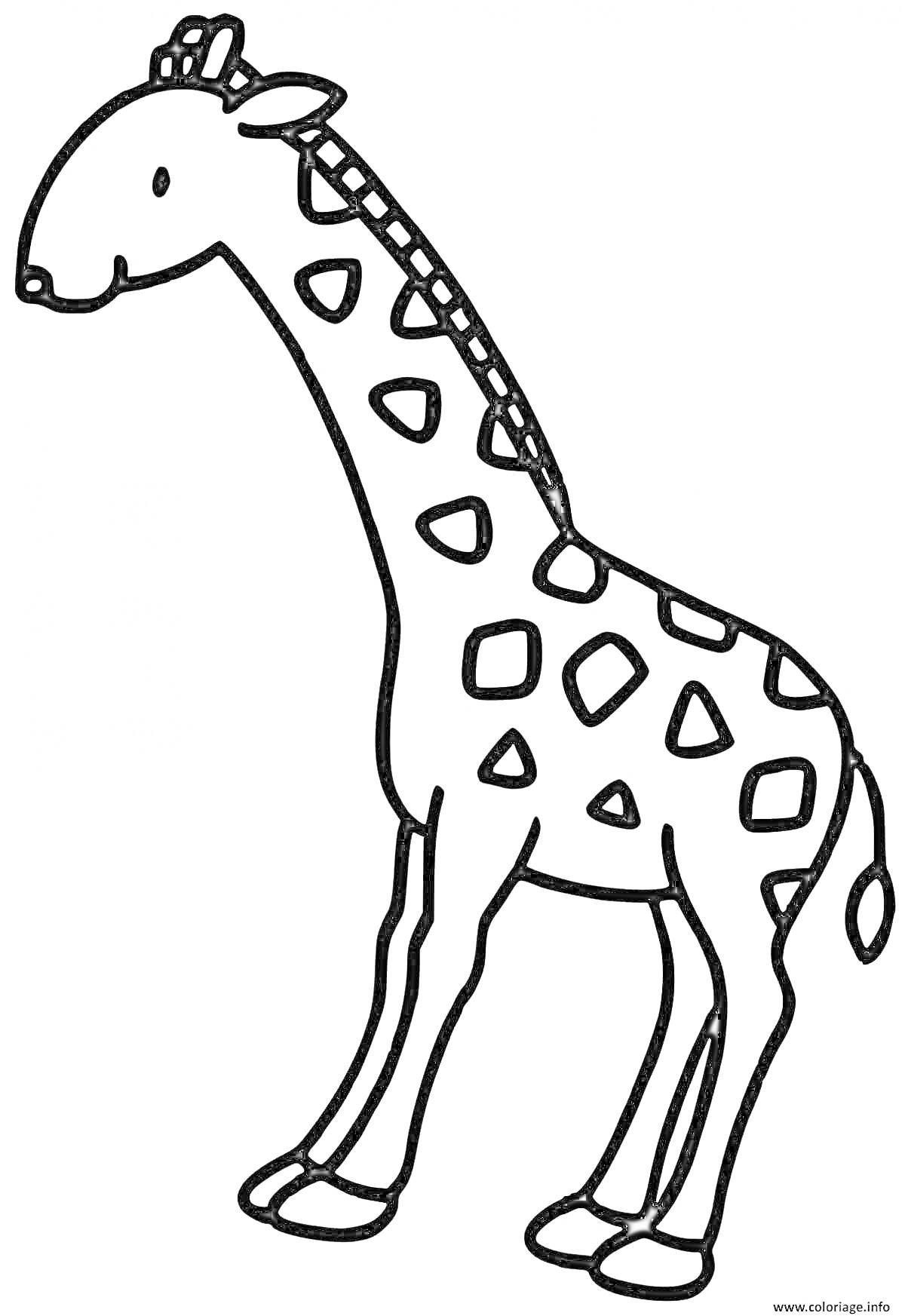Раскраска Жираф с пятнами