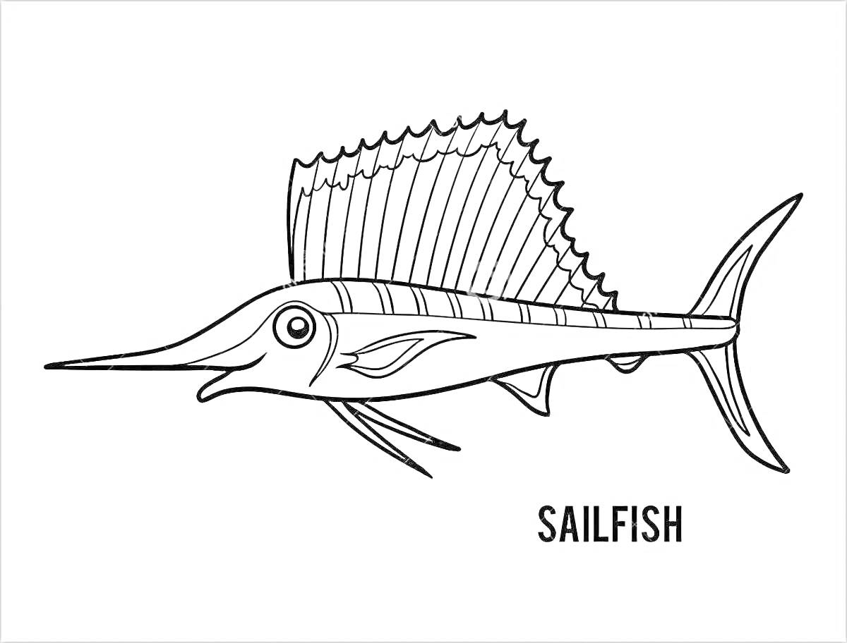 Раскраска Рыба марлин с текстом 