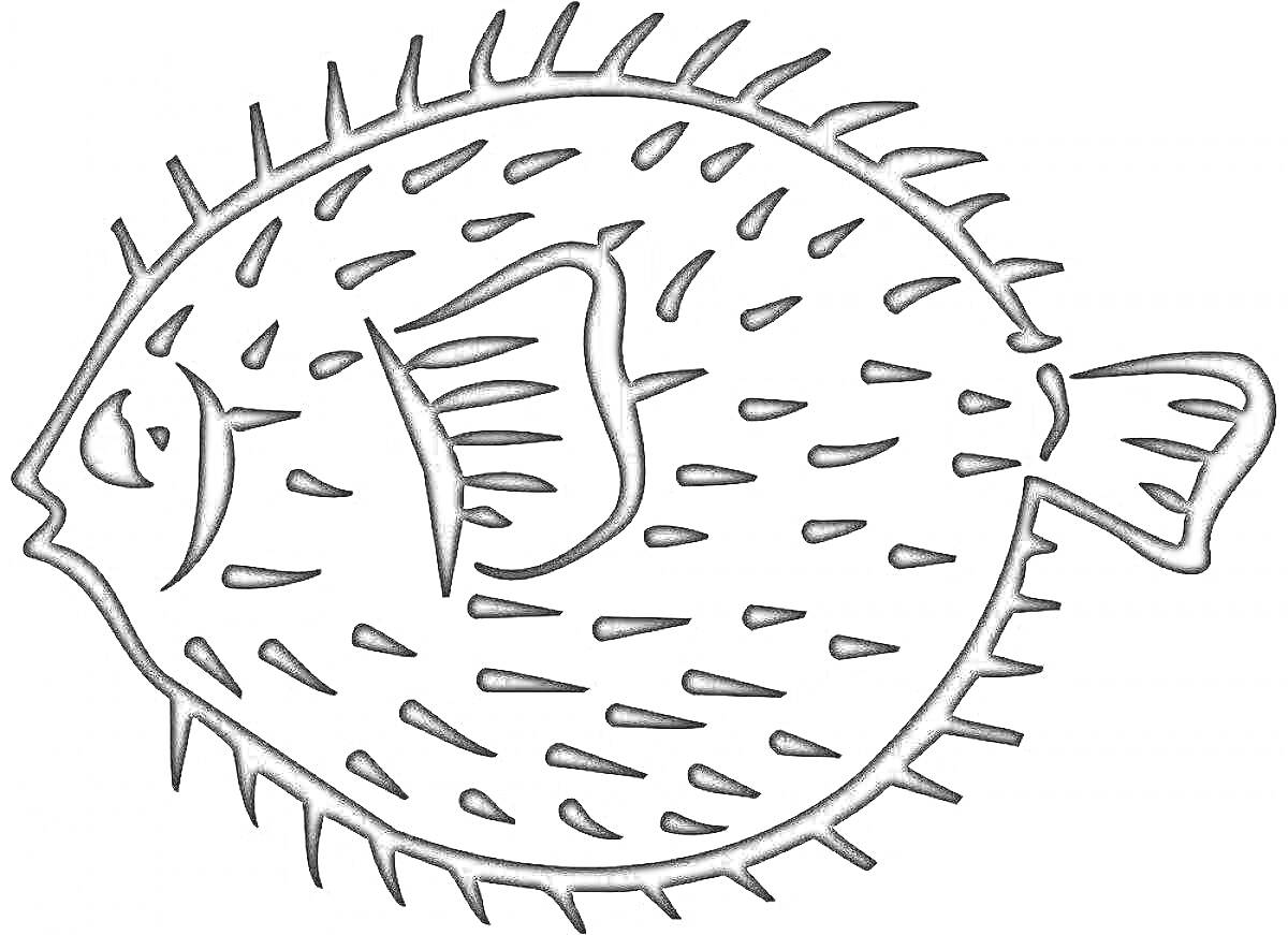 Раскраска Рыба с колючками (рыба-еж), плавники, хвост, глаза, рот
