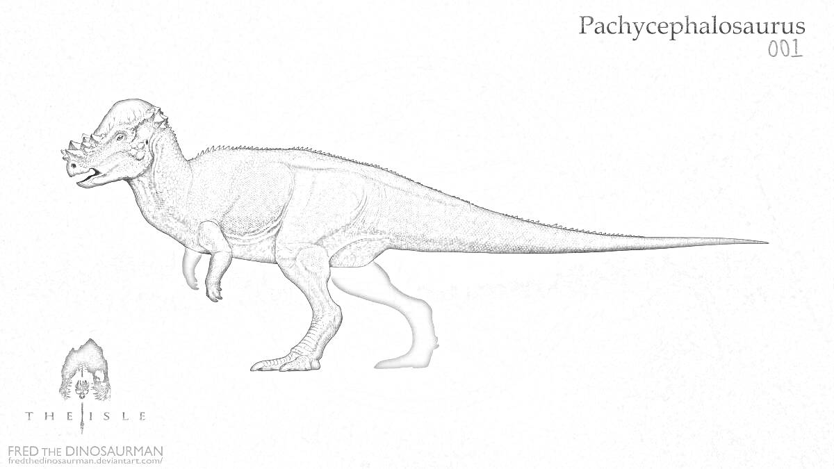 Раскраска Pachycephalosaurus с массивным черепом, на левой нижней части есть логотип и надпись.