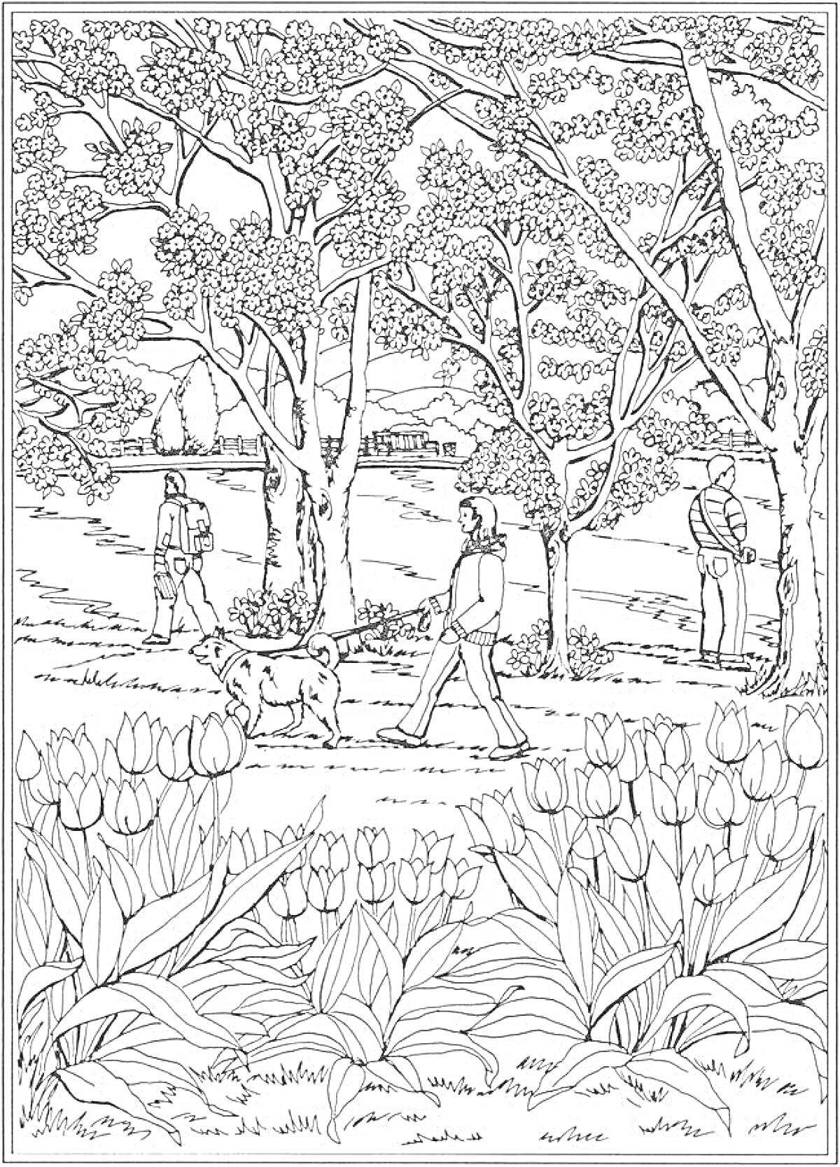 Раскраска Прогулка по парку с тюльпанами, деревьями и тремя людьми с собакой на переднем плане
