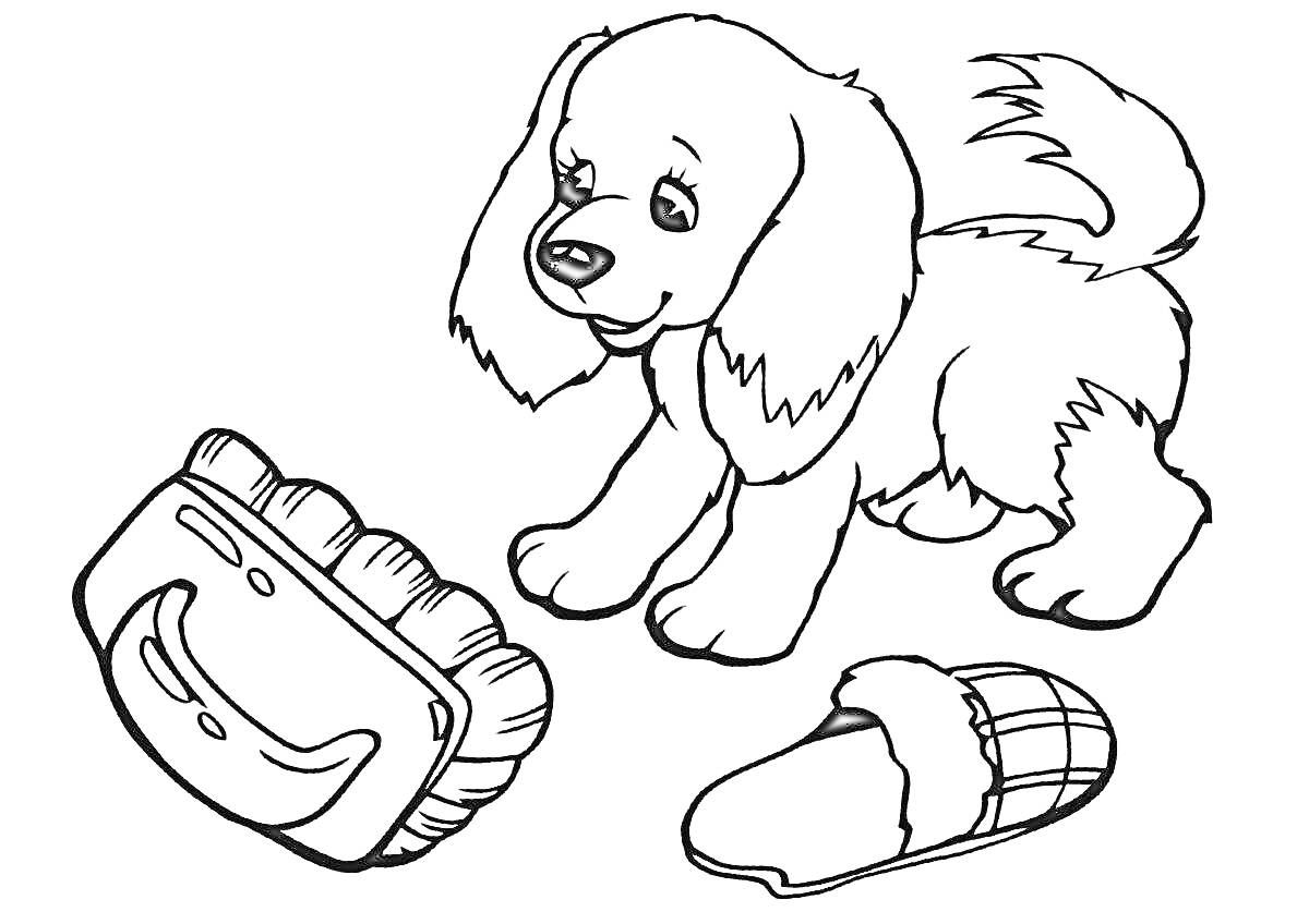 Раскраска Собака с щеткой и тапком