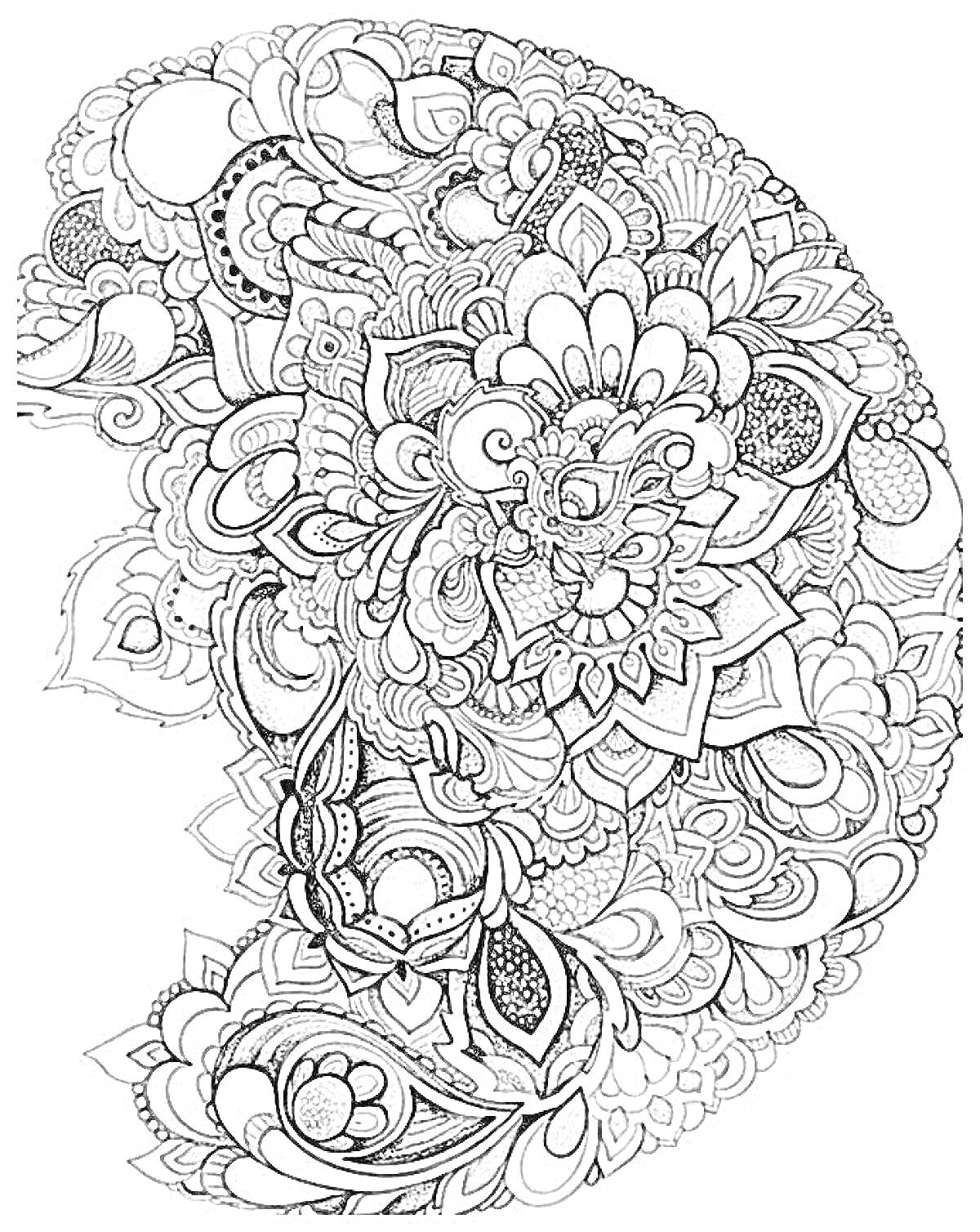 Раскраска Орнаментальный цветочный узор и завитки