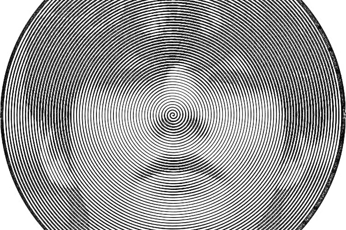 Раскраска Портрет человека в черно-белых спиралях