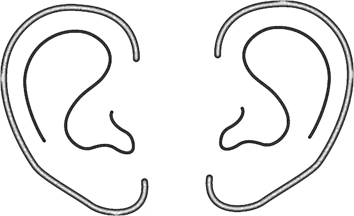 Два контурных рисунка ушей