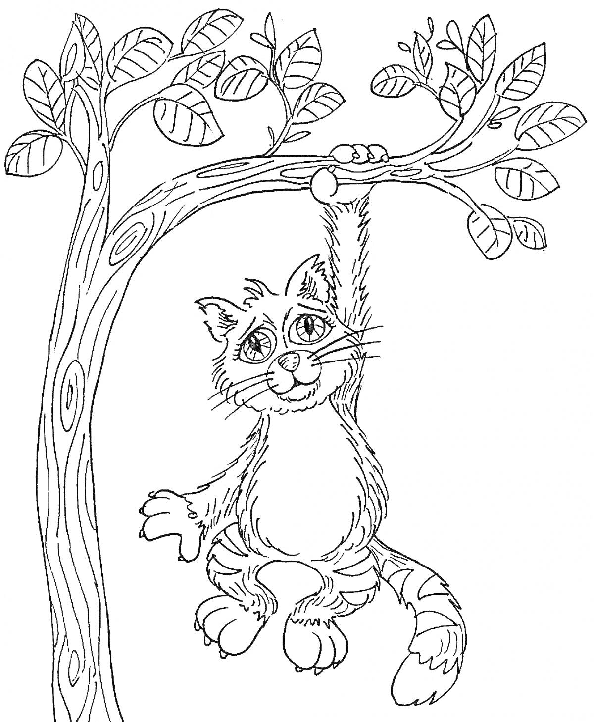 Раскраска Кот, висящий на ветке дерева