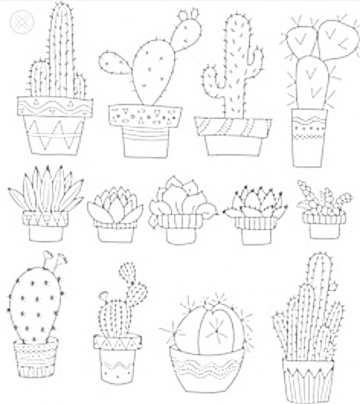 Раскраска Кактусы в горшках (13 различных кактусов в декоративных горшках)
