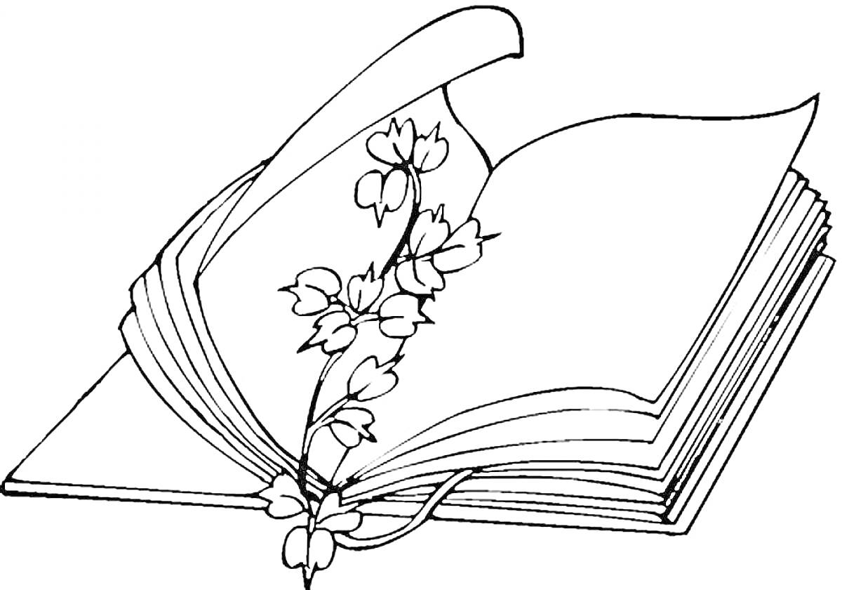 Раскраска Раскрытая книга с цветком
