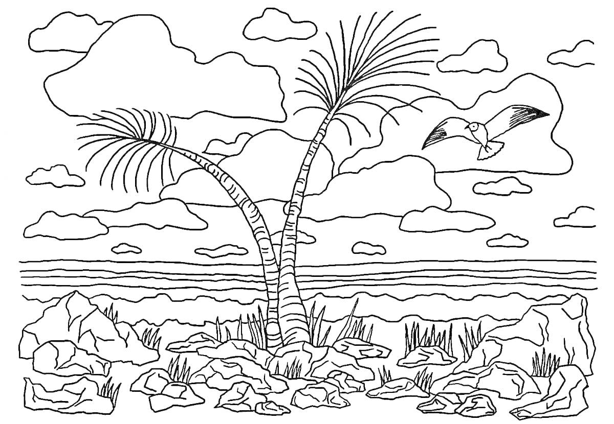 Раскраска Две пальмы на каменистом берегу моря с облаками и парящими птицами на фоне заката.