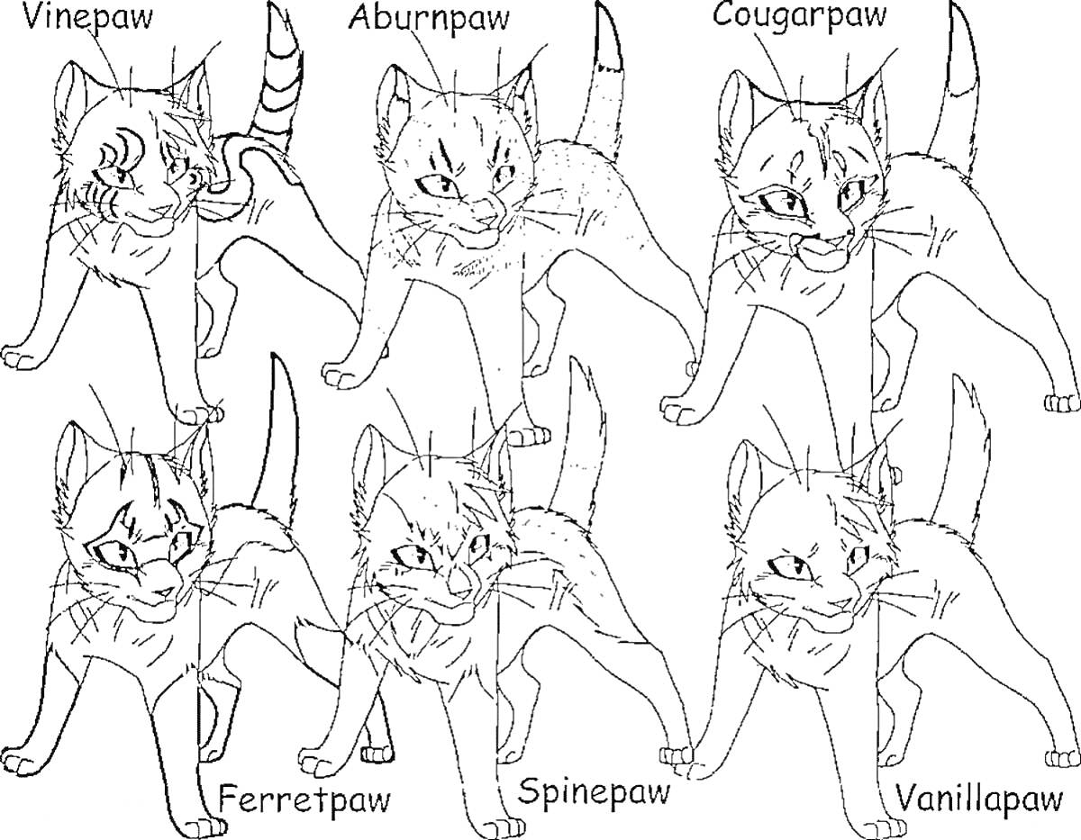 Раскраска Шесть котов-воителей: Vinepaw, Auburnpaw, Cougarpaw, Ferretpaw, Spinepaw, Vanillapaw