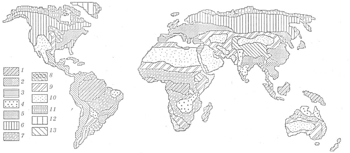 Раскраска Карта мира с природными зонами, включает тундру, тайгу, смешанный лес, широколиственный лес, степь, тропические леса, саванны, пустыни, горные районы, жестколистные леса