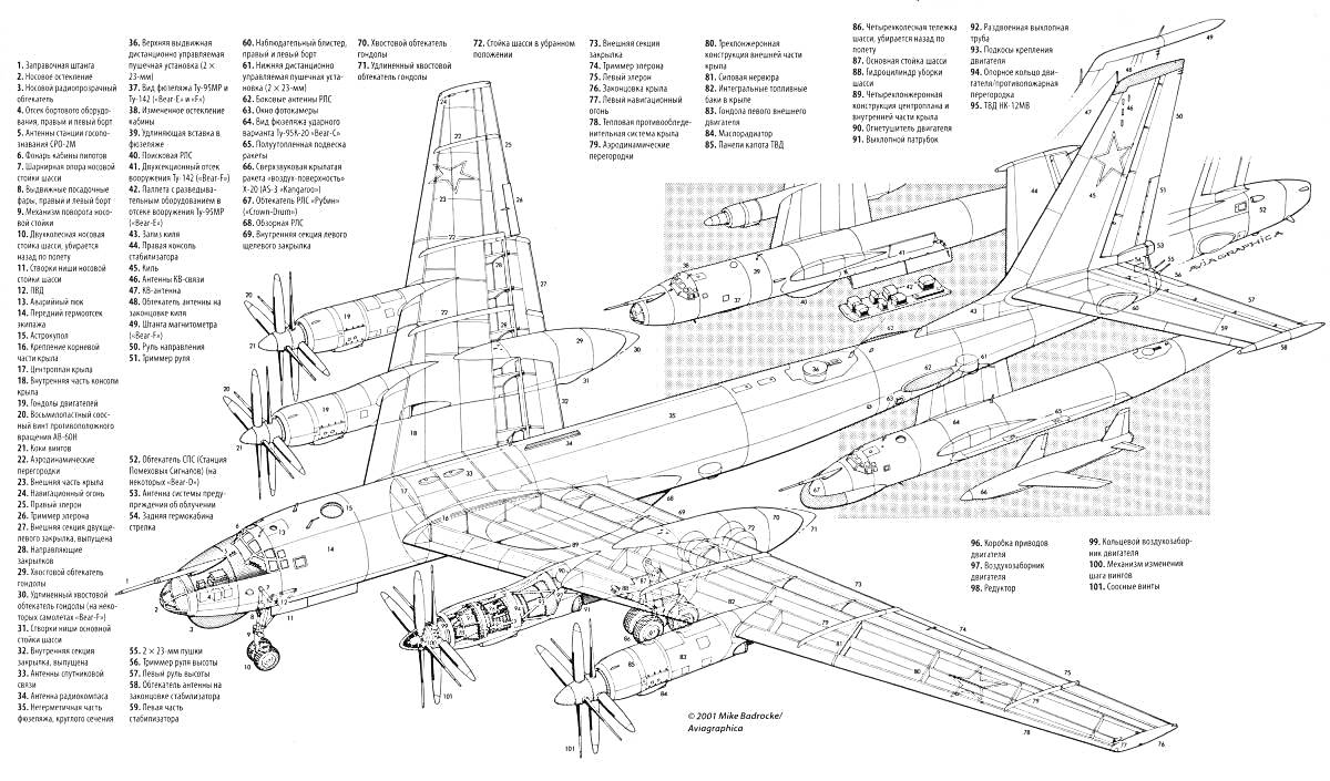 Раскраска Схематическая раскраска самолета Ту-95 с обозначением всех элементов