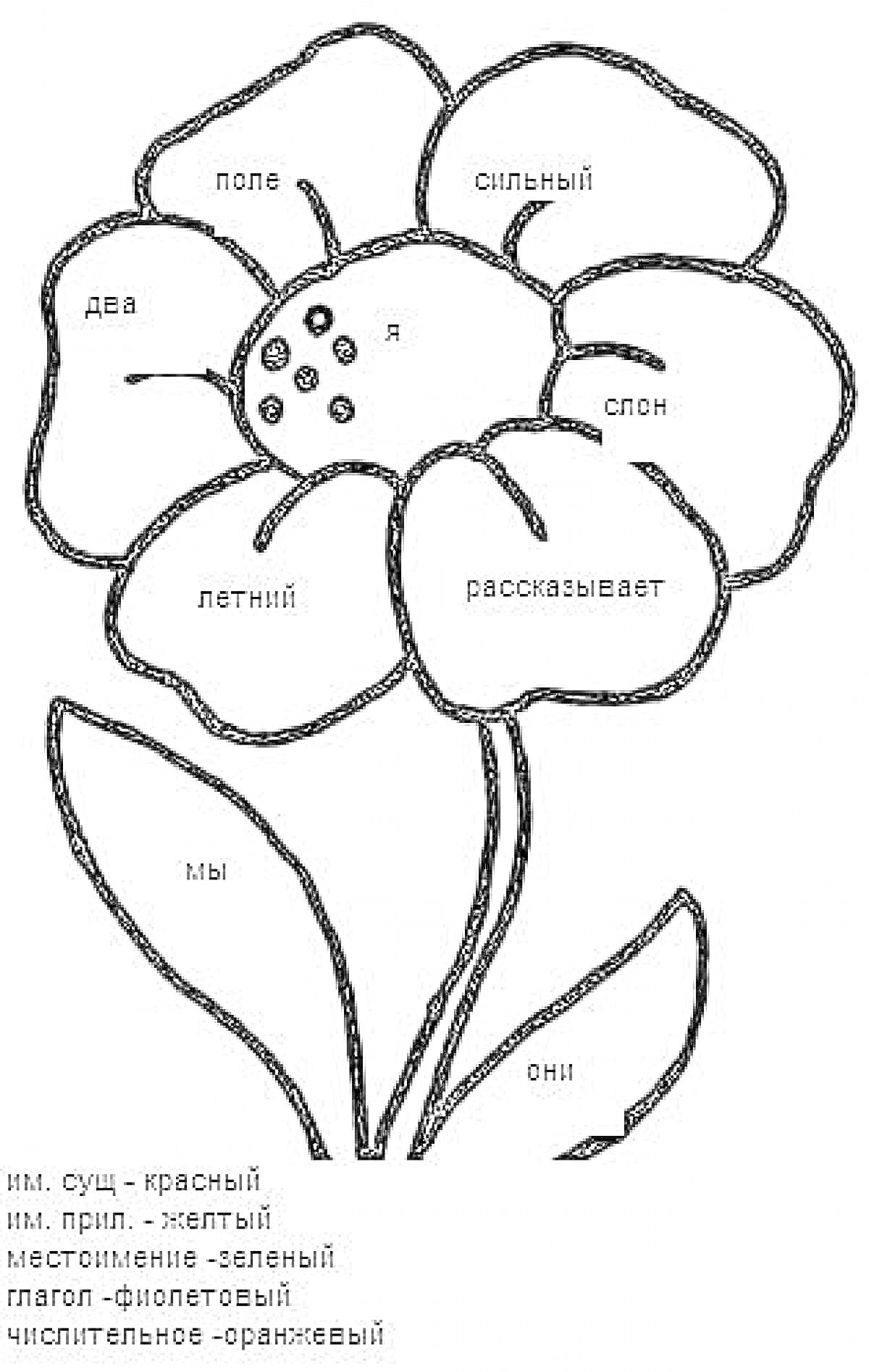Раскраска Цветок с частями речи (поле, сильный, два, я, летний, рассказывает, мы, они, спон)