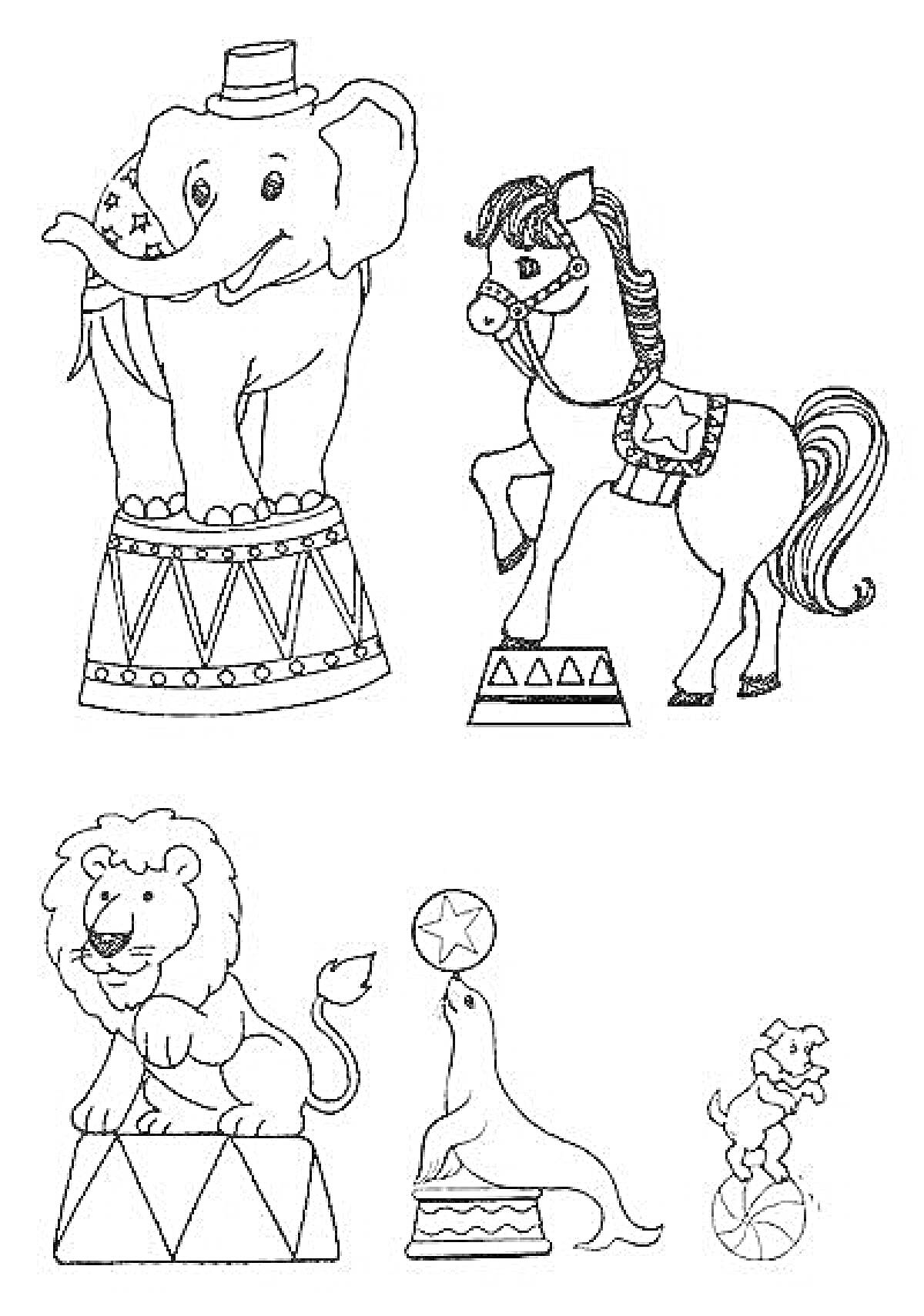 На раскраске изображено: Цирк, Слон, Лошадь, Лев, Морской лев, Собака, Животные, Тумба, Пьедестал, 6 лет, 7 лет