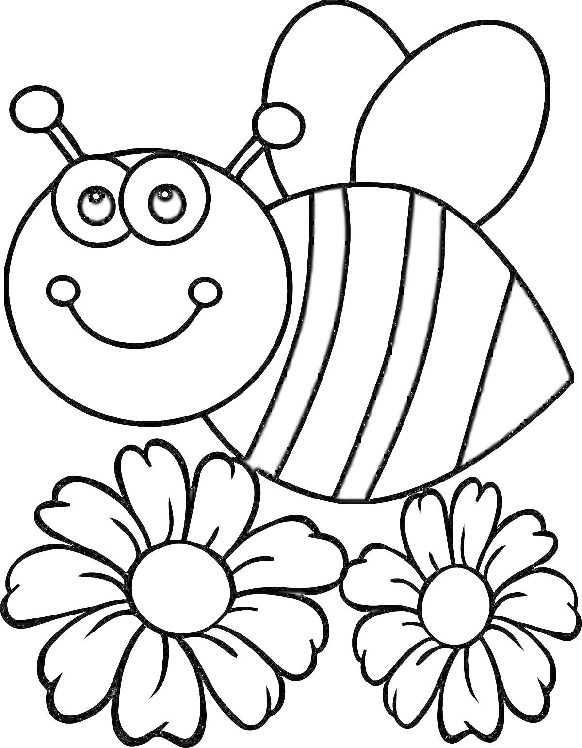 Раскраска Пчела с двумя цветами