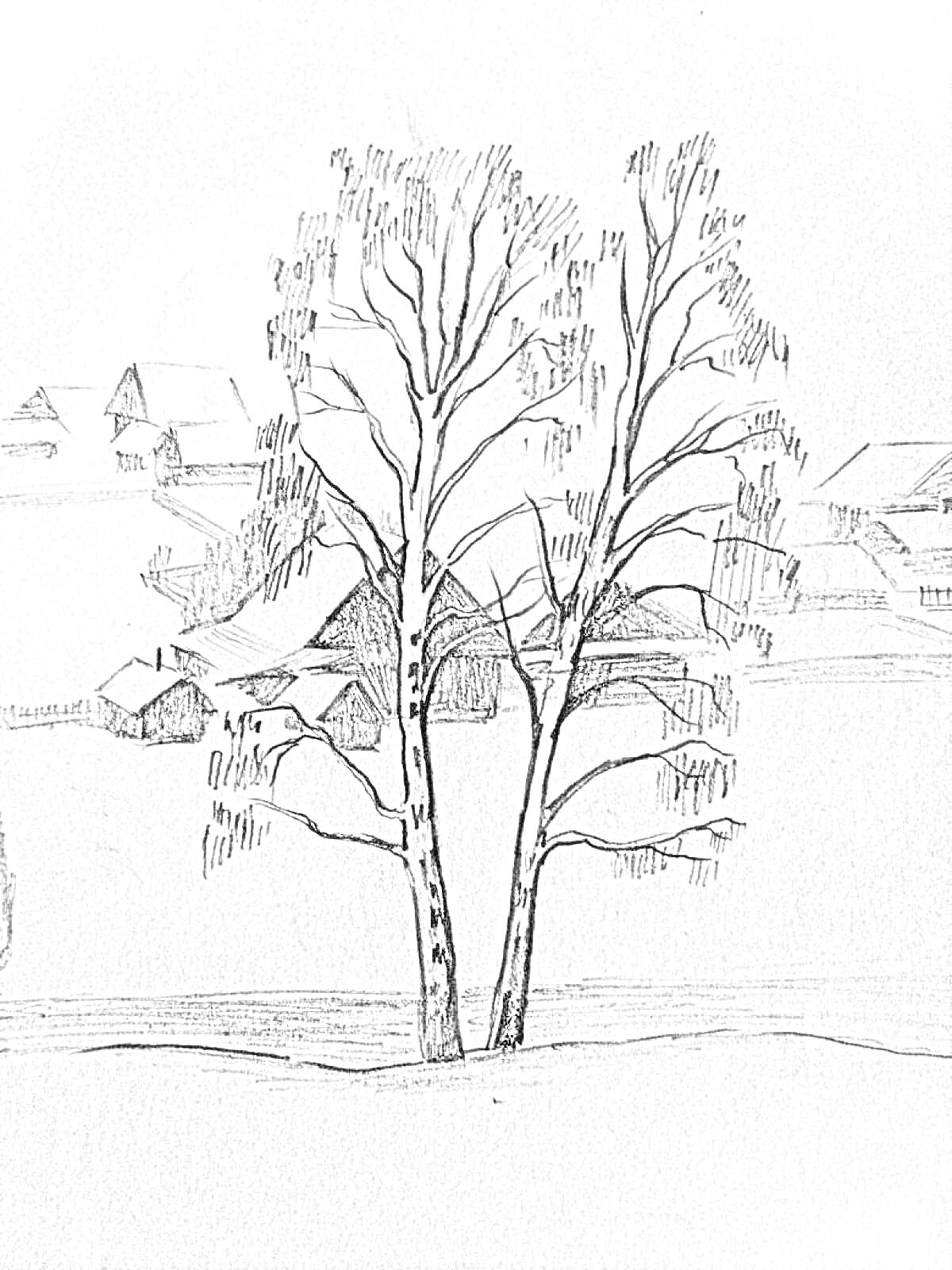 На раскраске изображено: Береза, Деревенский пейзаж, Деревня, Зима, Природа
