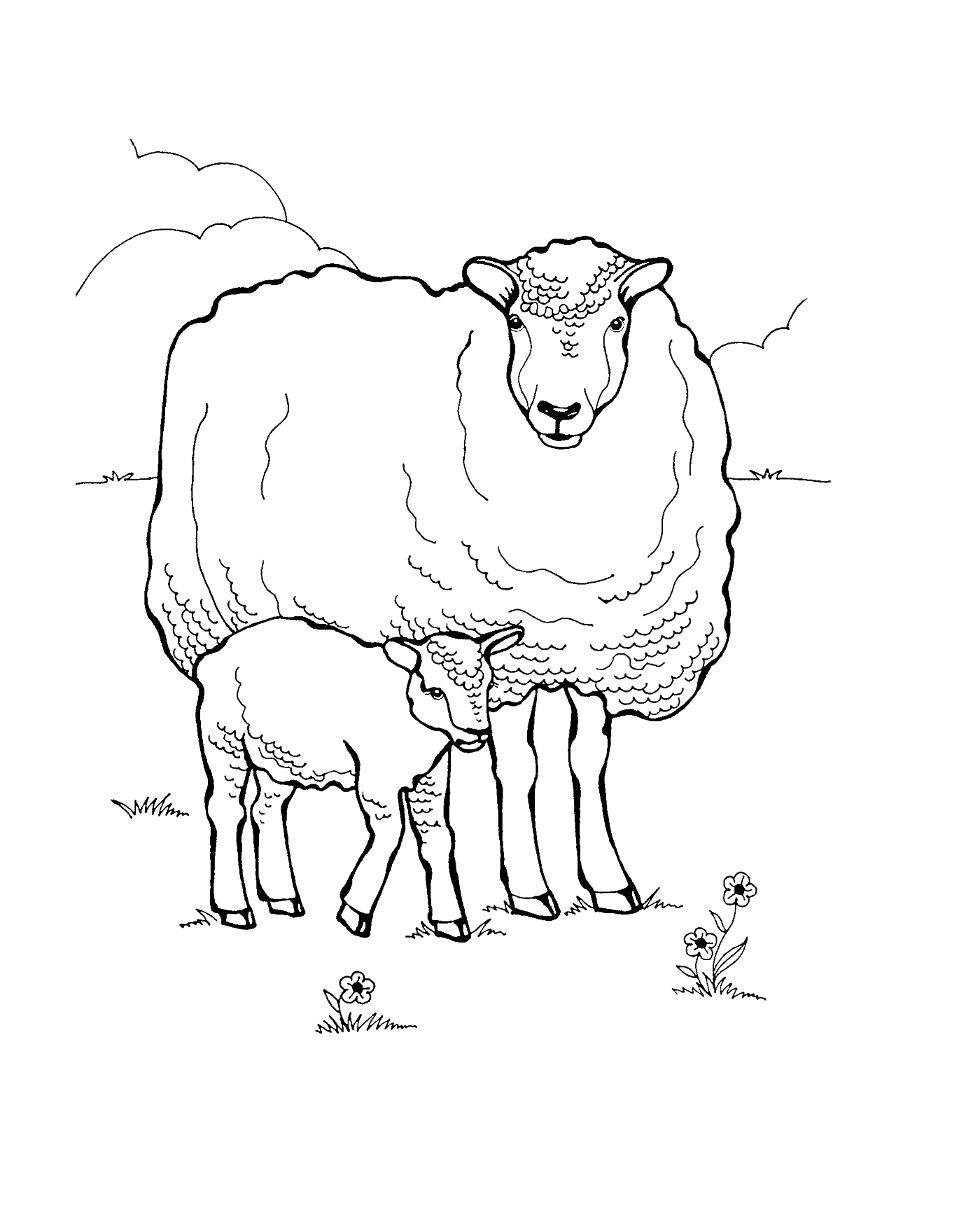  Овца с ягненком на лугу