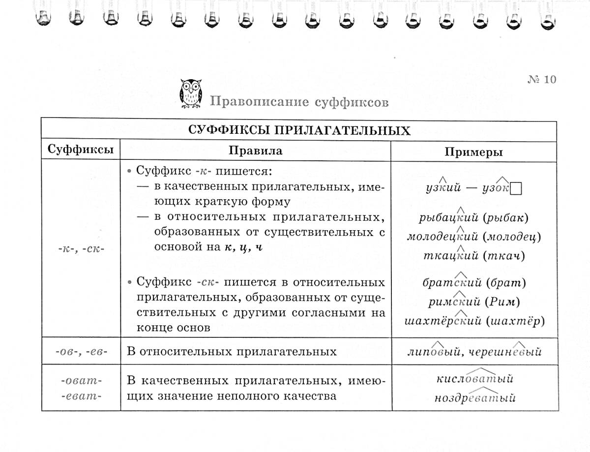 Раскраска Правописание суффиксов прилагательных: -ив-, -ев-, -лив-, -чив-, -чат-