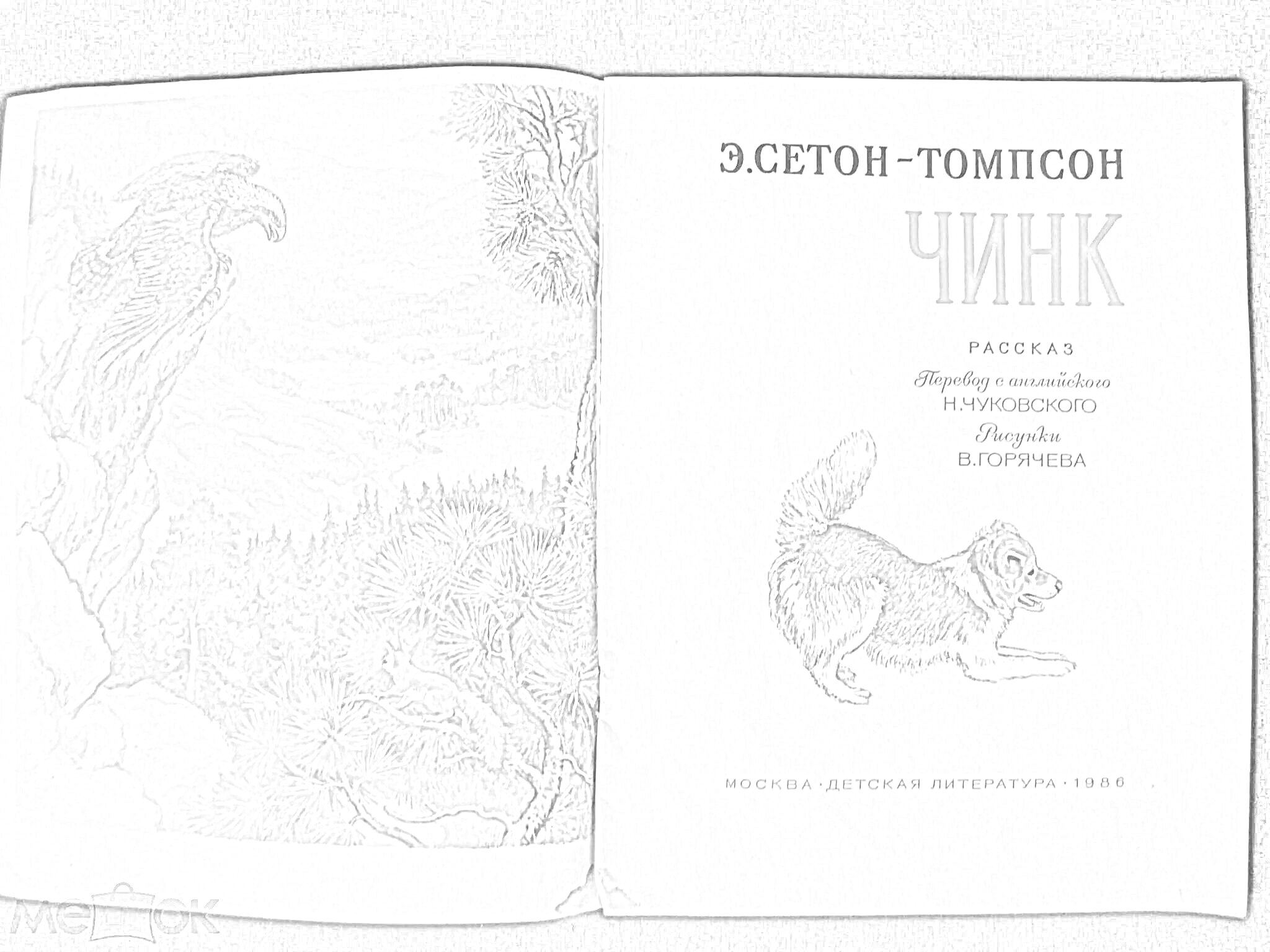 Раскраска Раскраска с изображением орла на ветке, оленя в лесу и собаки.