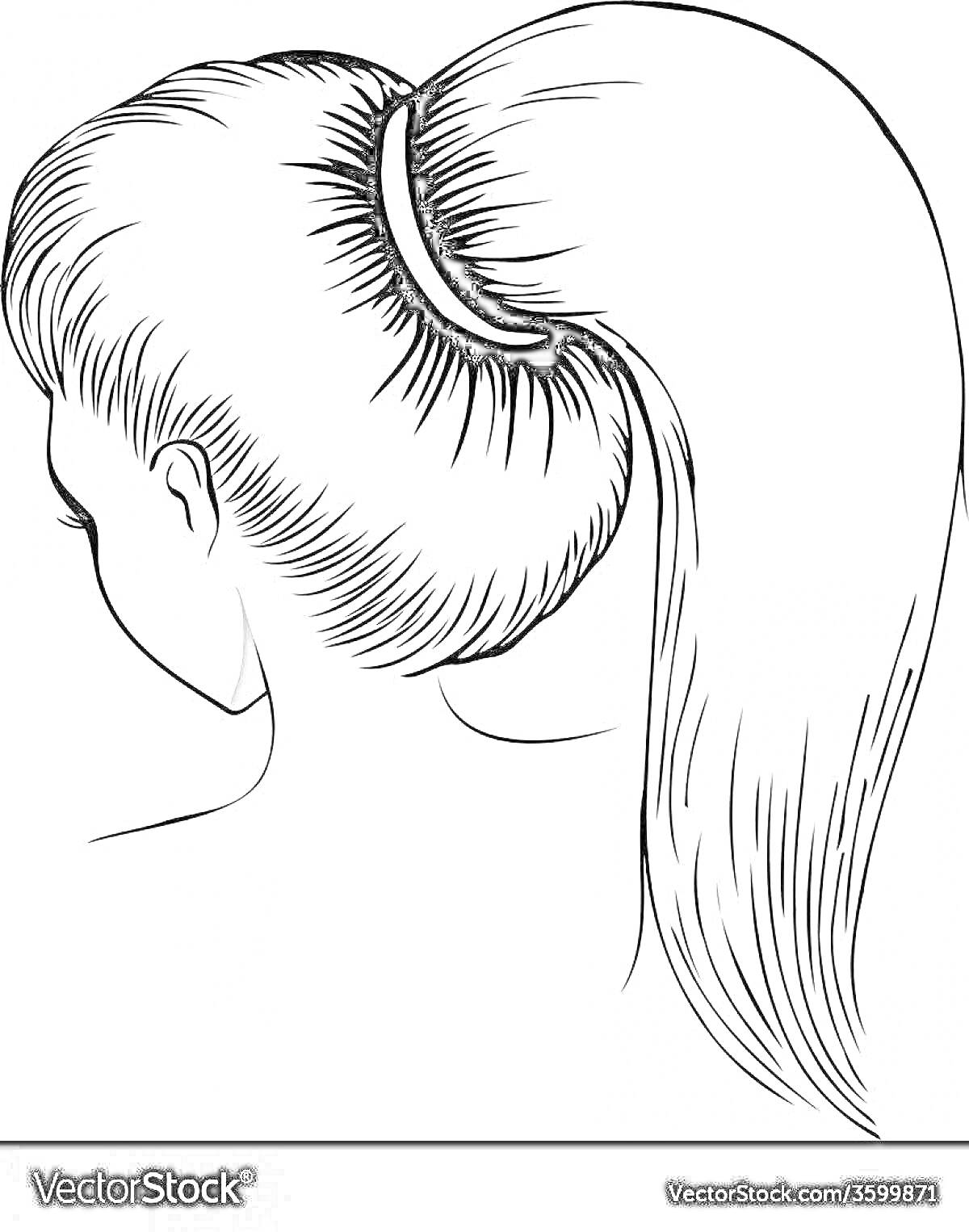 Раскраска Волосы, убранные в высокий пучок с хвостиком