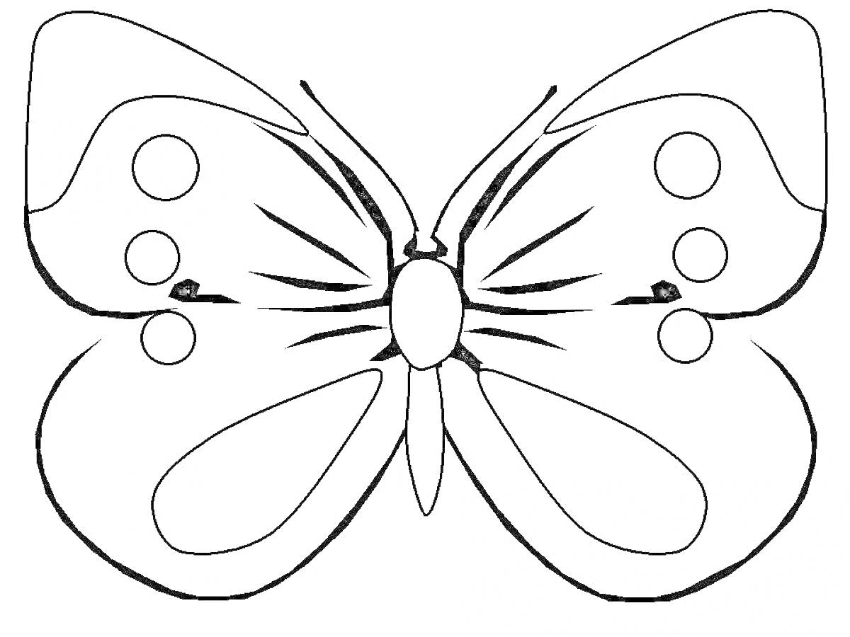 На раскраске изображено: Бабочка, Крылья, Узоры, Круги, Насекомое