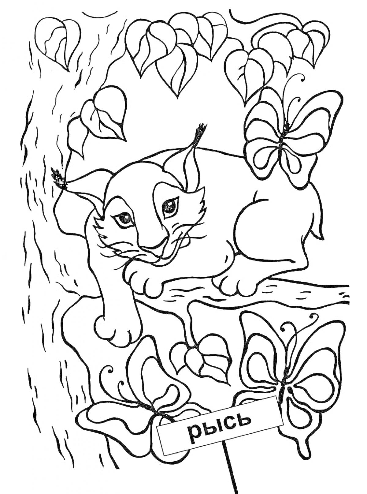 Раскраска Рысь на дереве с бабочками и листьями