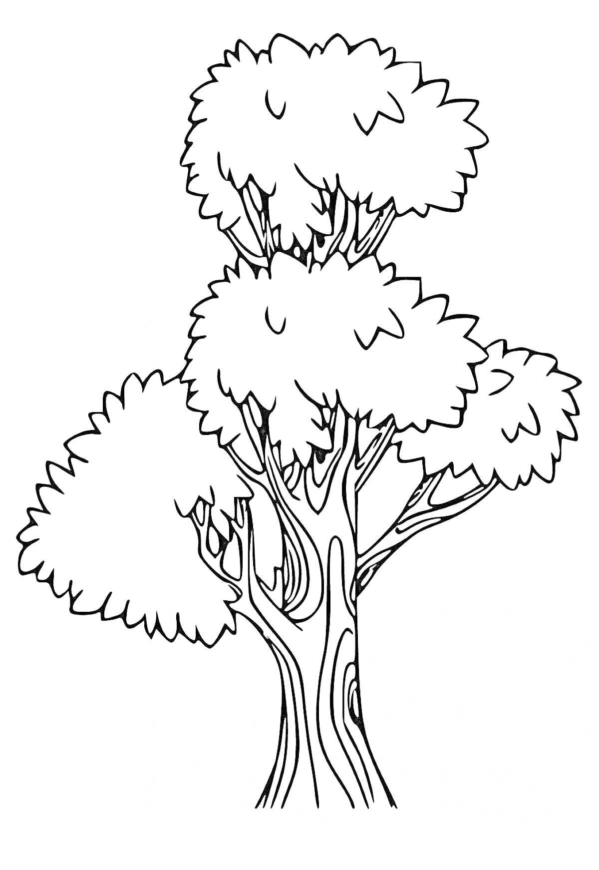 Раскраска Дерево с тремя кронами из листвы