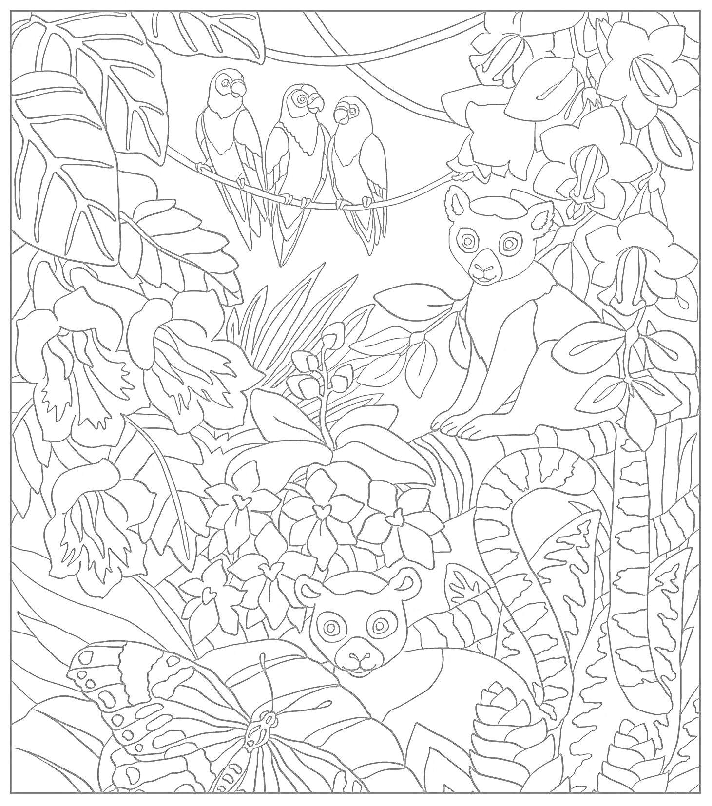На раскраске изображено: Лемуры, Попугаи, Тропический лес, Цветы, Листья, Природа, Животные