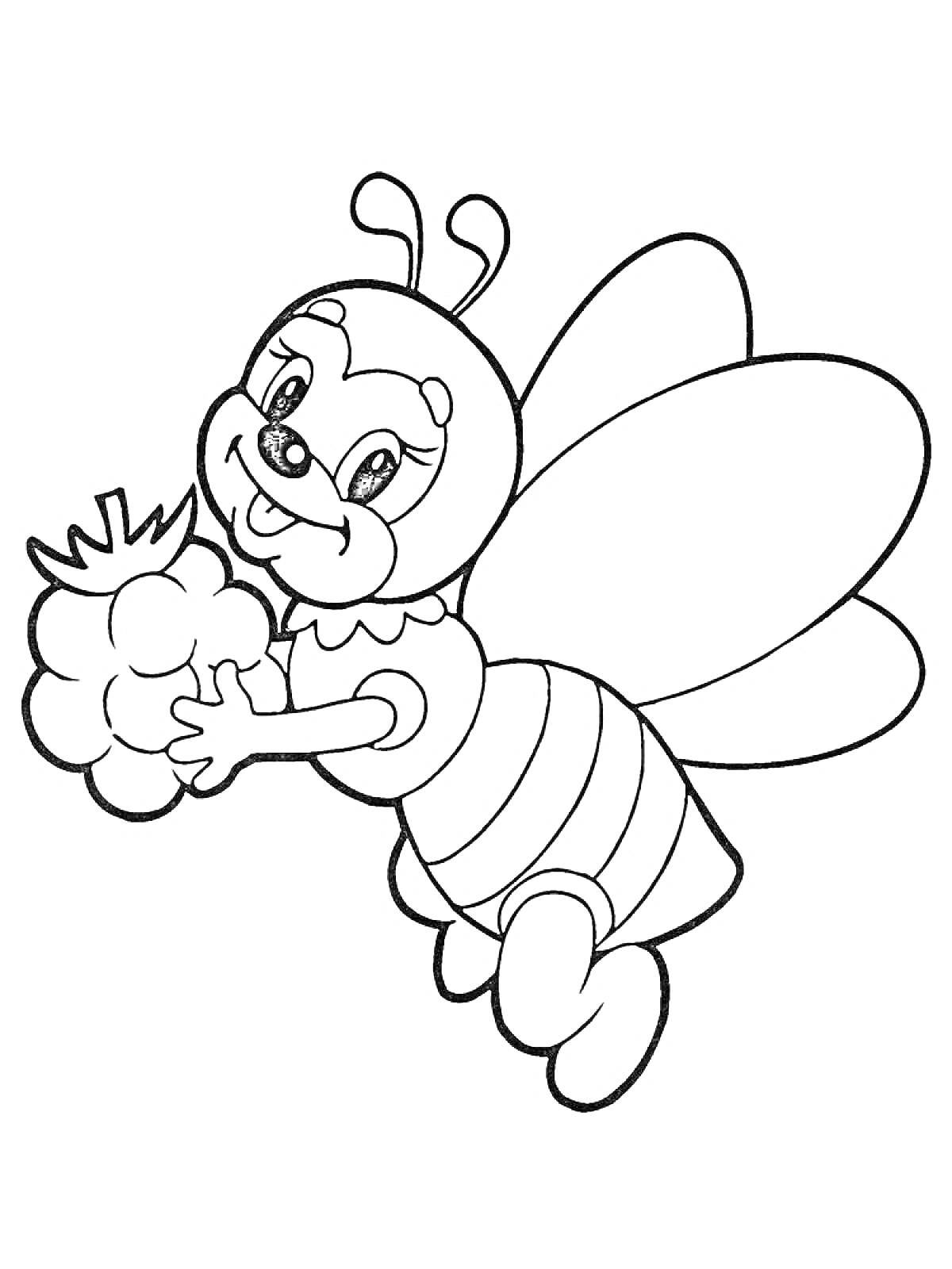 Раскраска Пчела с крыльями и ягодой