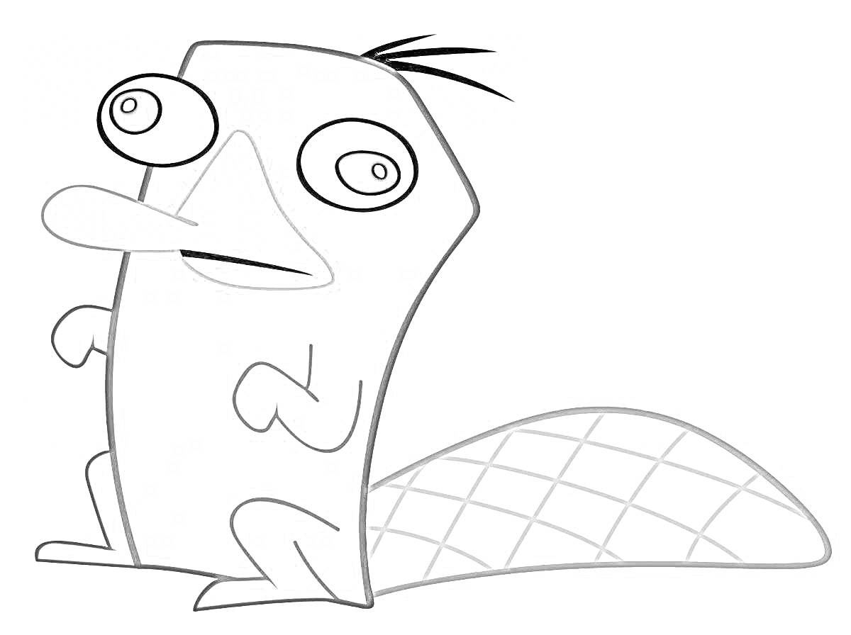 На раскраске изображено: Утконос, Перри, Большой хвост, Большие глаза, Мультипликационный персонаж