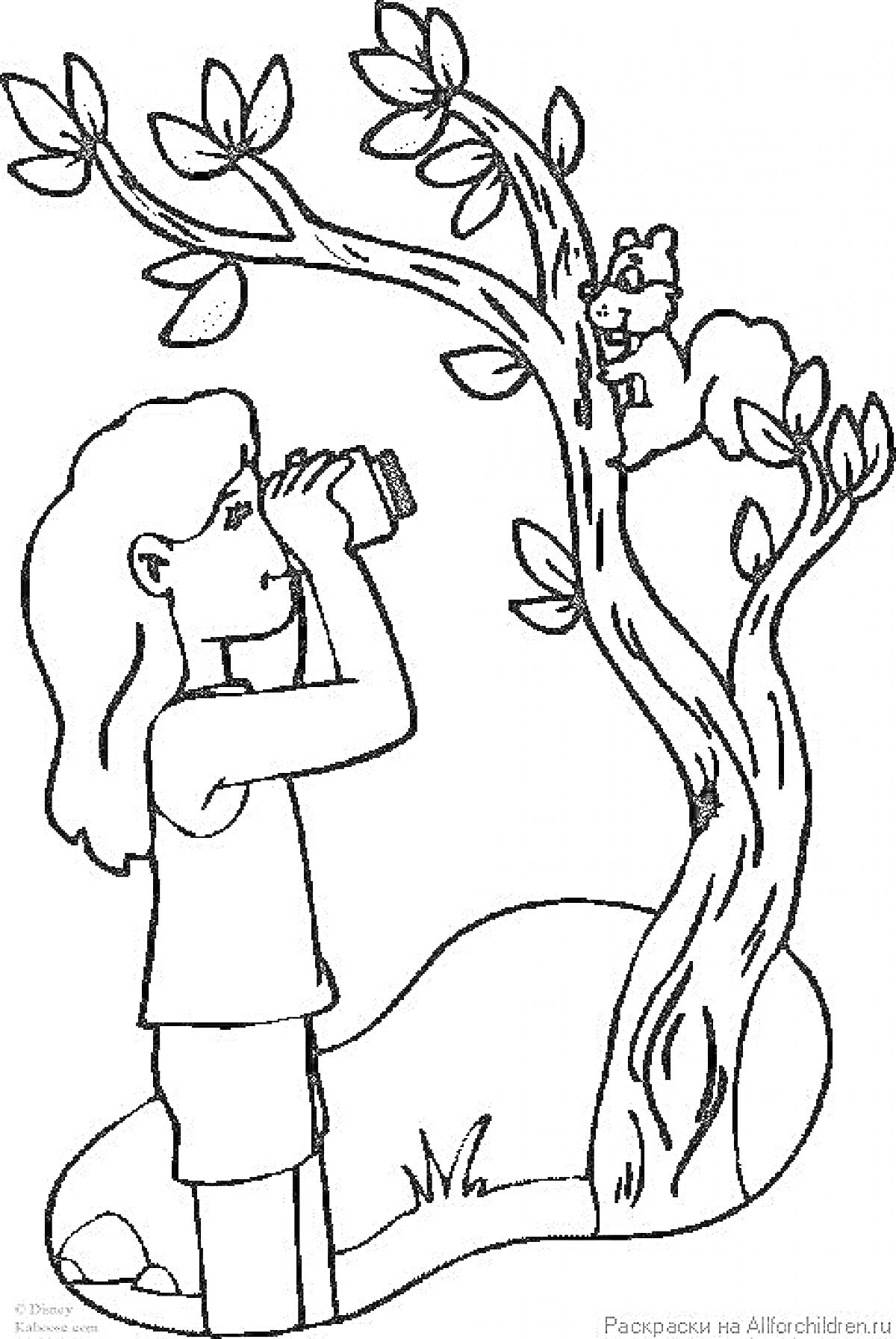 На раскраске изображено: Ребёнок, Фотоаппарат, Белка, Природа, Наблюдение, Деревья, Животные
