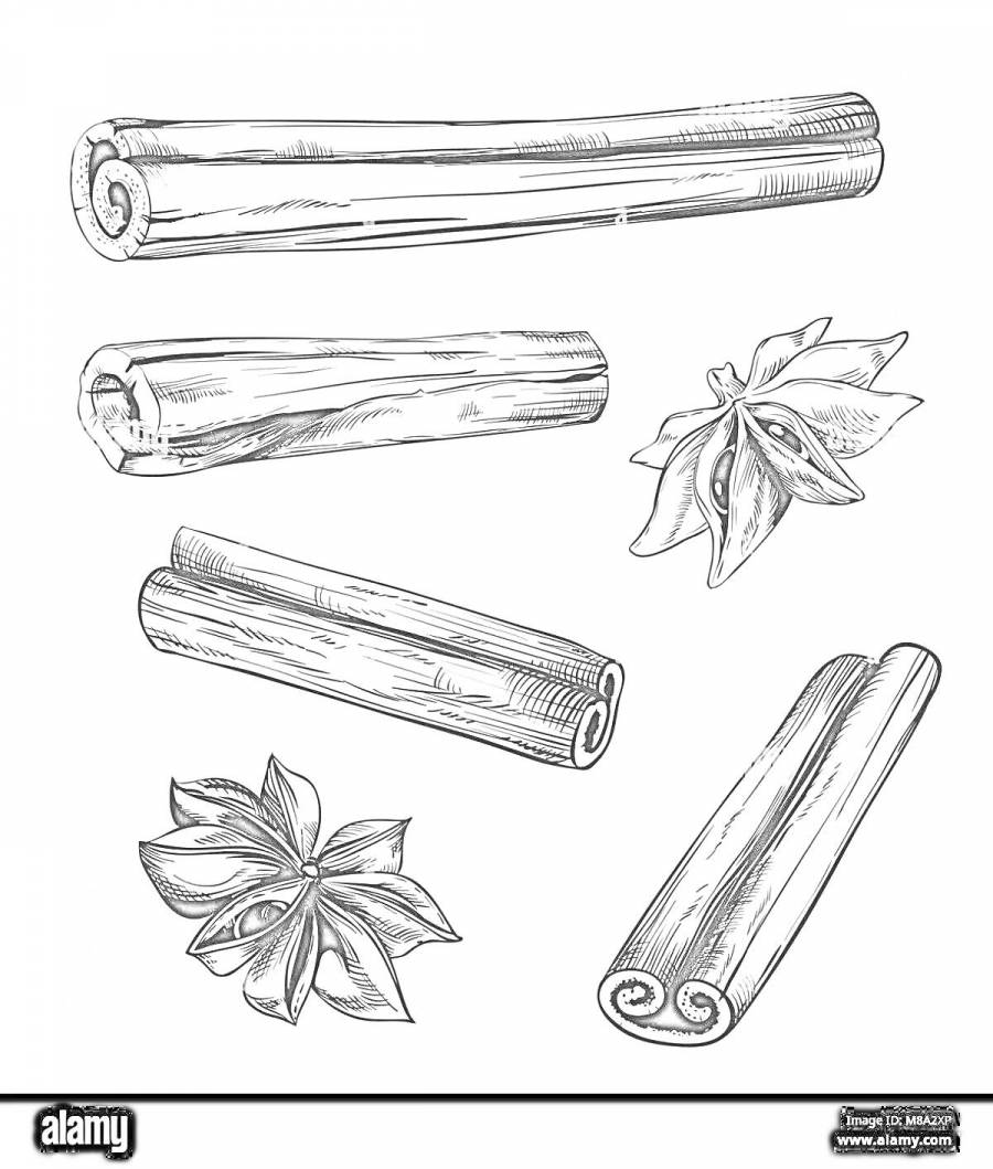 Раскраски корица: 66 раскрасок - скачать или распечатать бесплатно