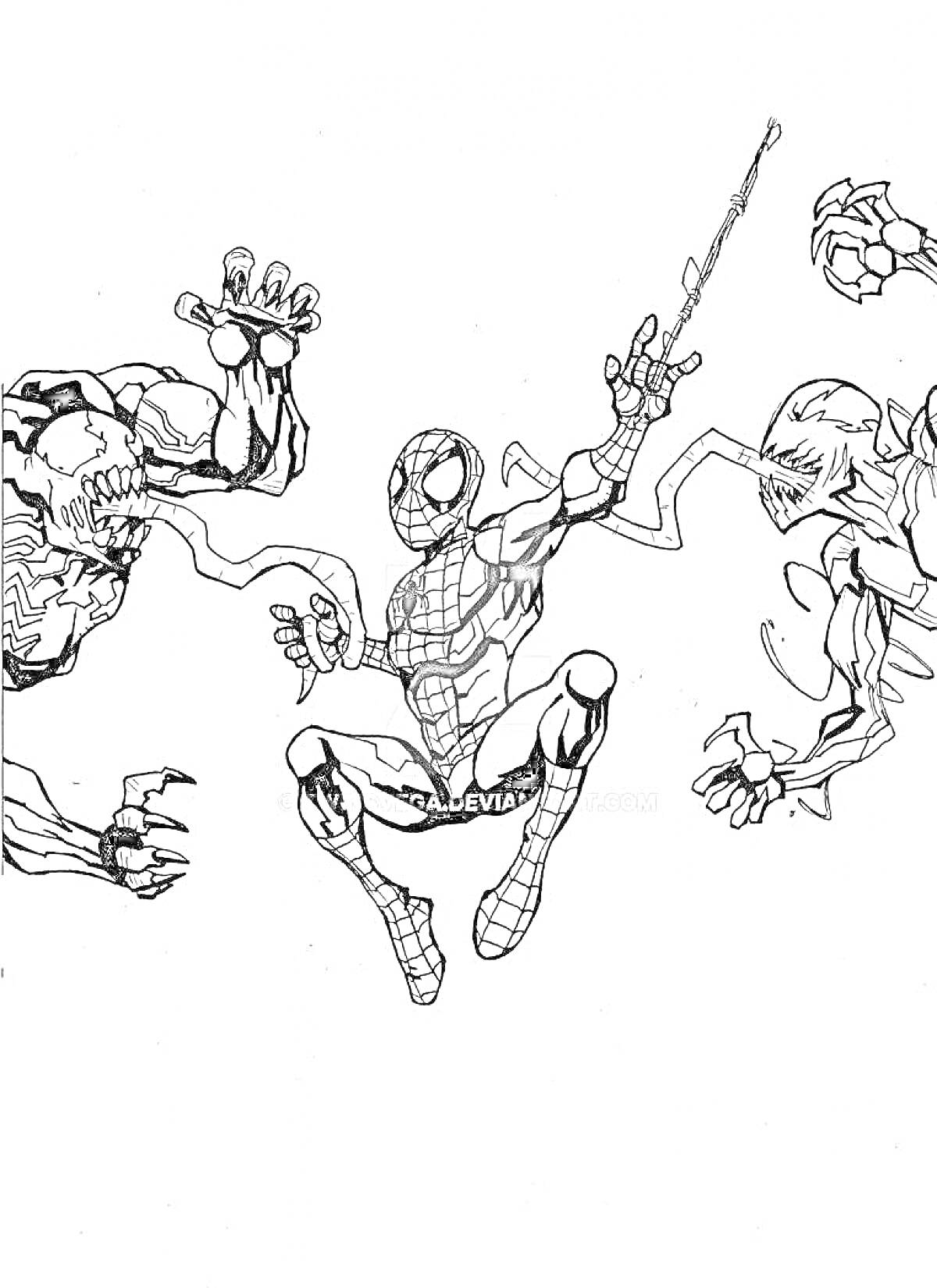 На раскраске изображено: Человек-паук, Карнаж, Веном, Супергерои, Комиксы, Паутина, Сражение