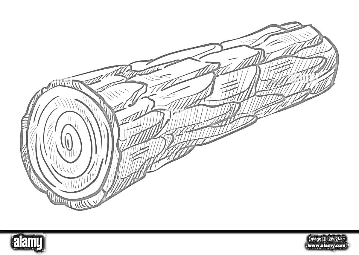 Раскраска рисунок бревна черно-белого цвета