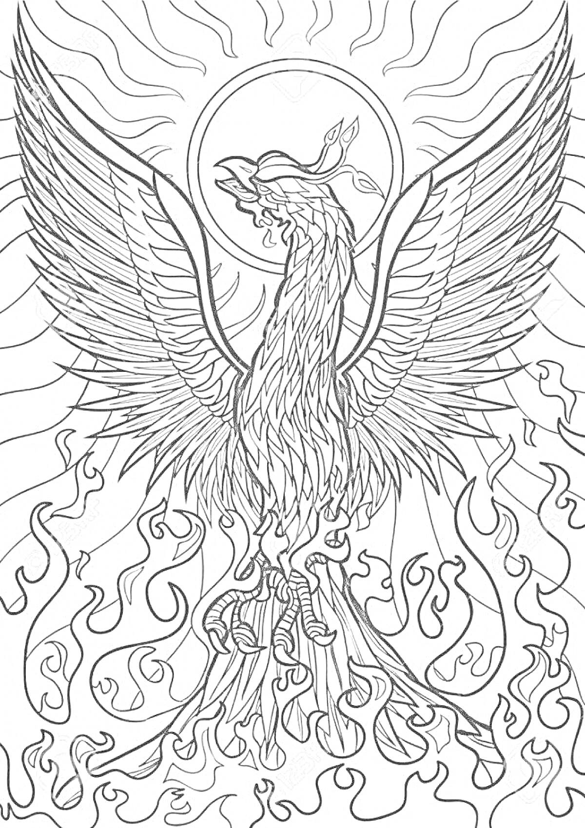 На раскраске изображено: Феникс, Огонь, Крылья, Птица, Солнце, Мифические существа